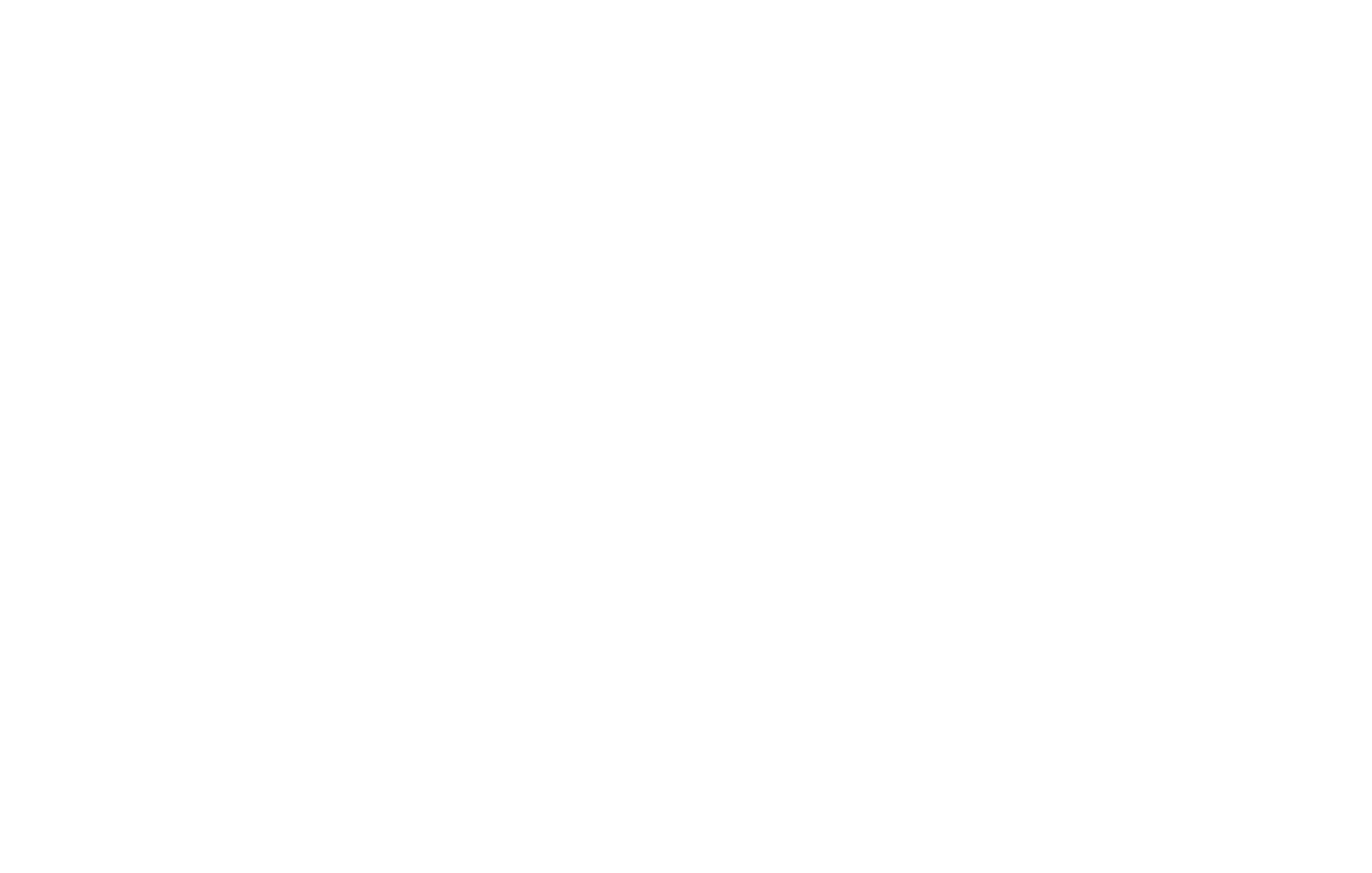 Blue Whistle Advertising — Let creativity echo